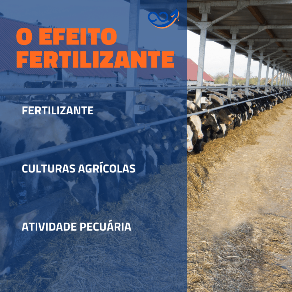 O Efeito Fertilizante